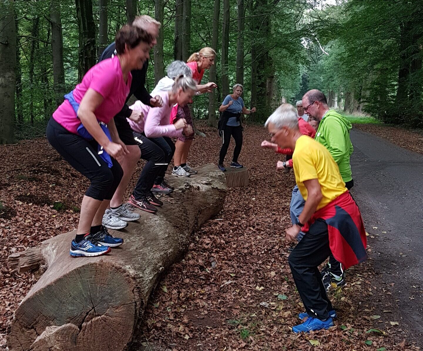 oefening op boomstam